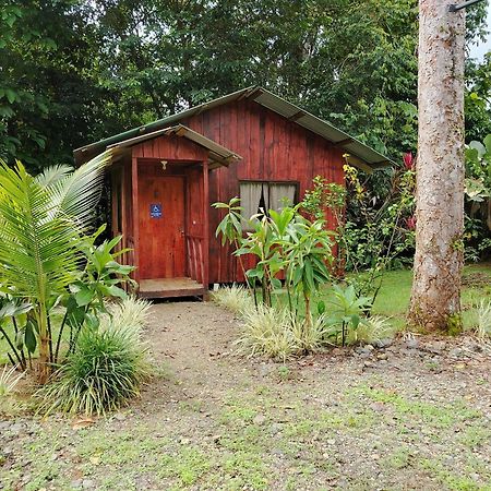 Citronela Lodge Corcovado Drakes Bay Exterior foto