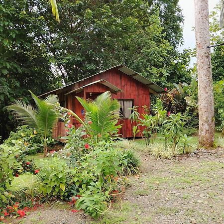Citronela Lodge Corcovado Drakes Bay Exterior foto