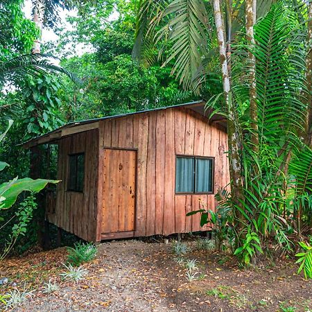 Citronela Lodge Corcovado Drakes Bay Exterior foto