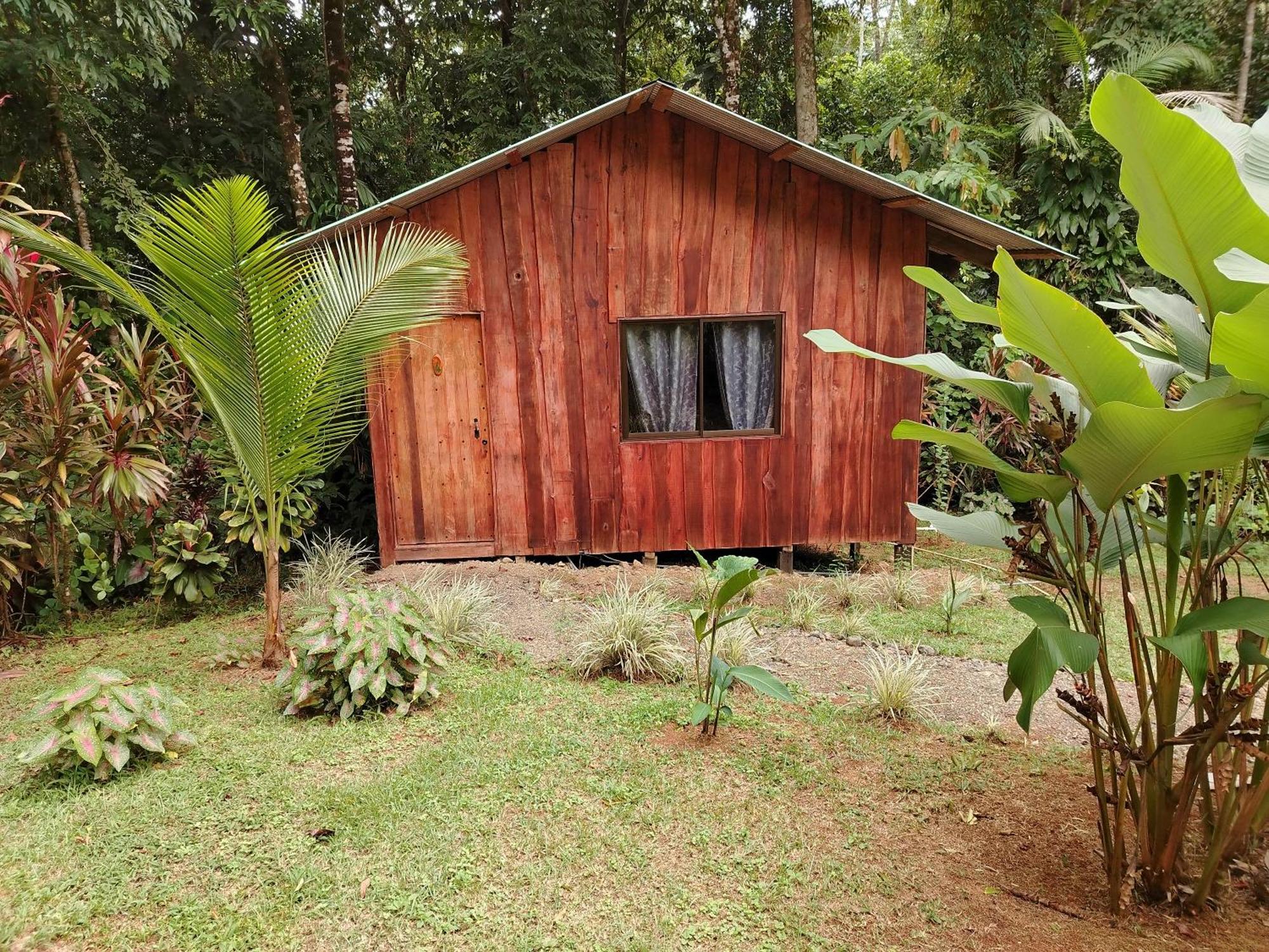 Citronela Lodge Corcovado Drakes Bay Exterior foto