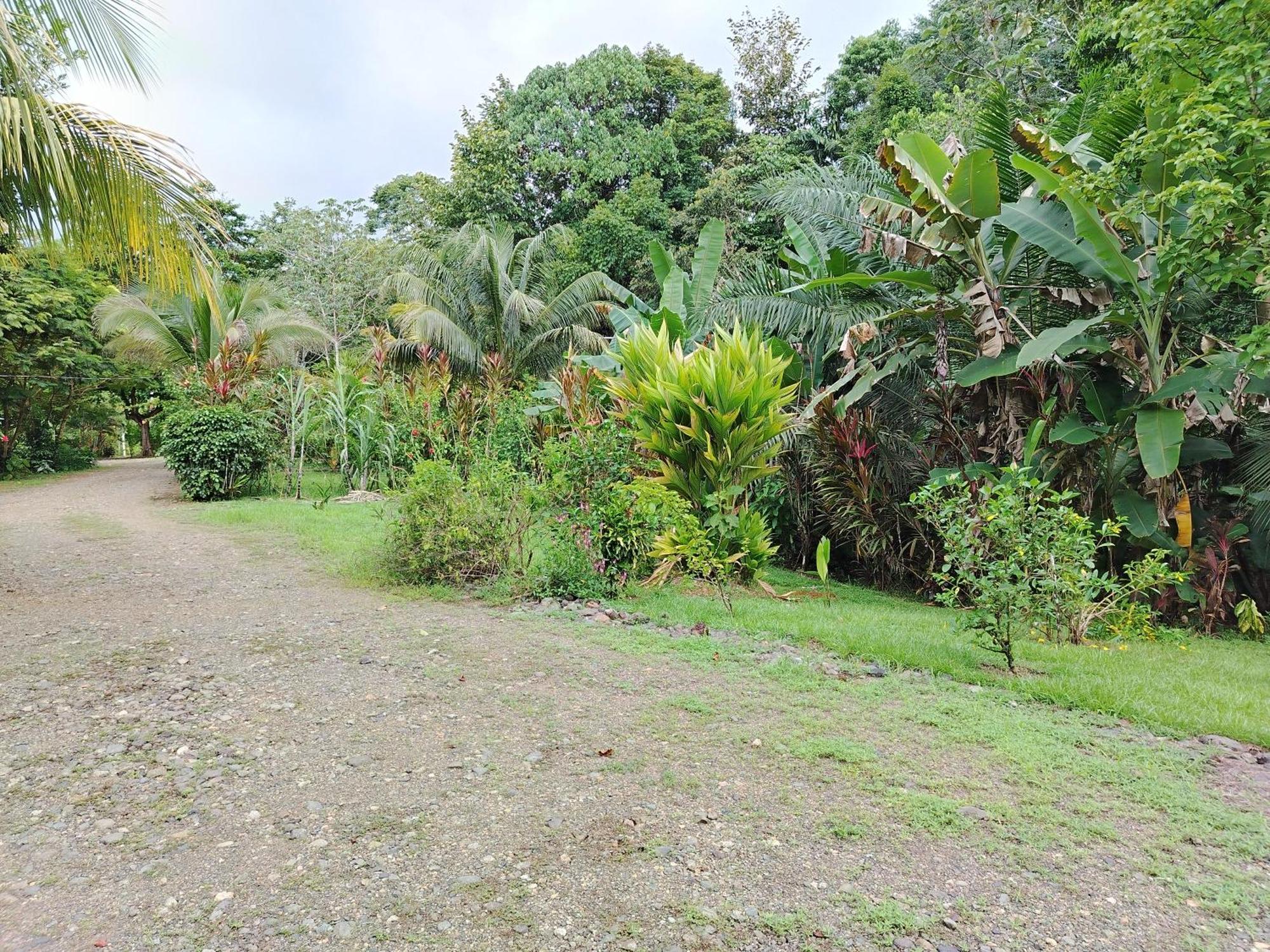 Citronela Lodge Corcovado Drakes Bay Exterior foto