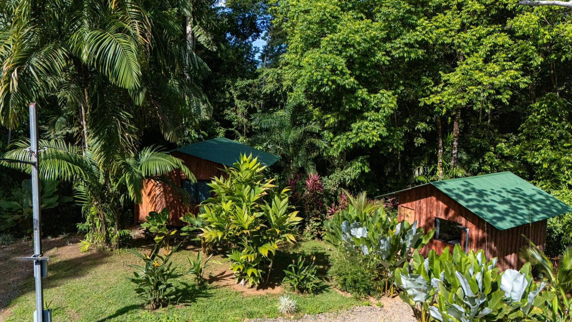 Citronela Lodge Corcovado Drakes Bay Exterior foto