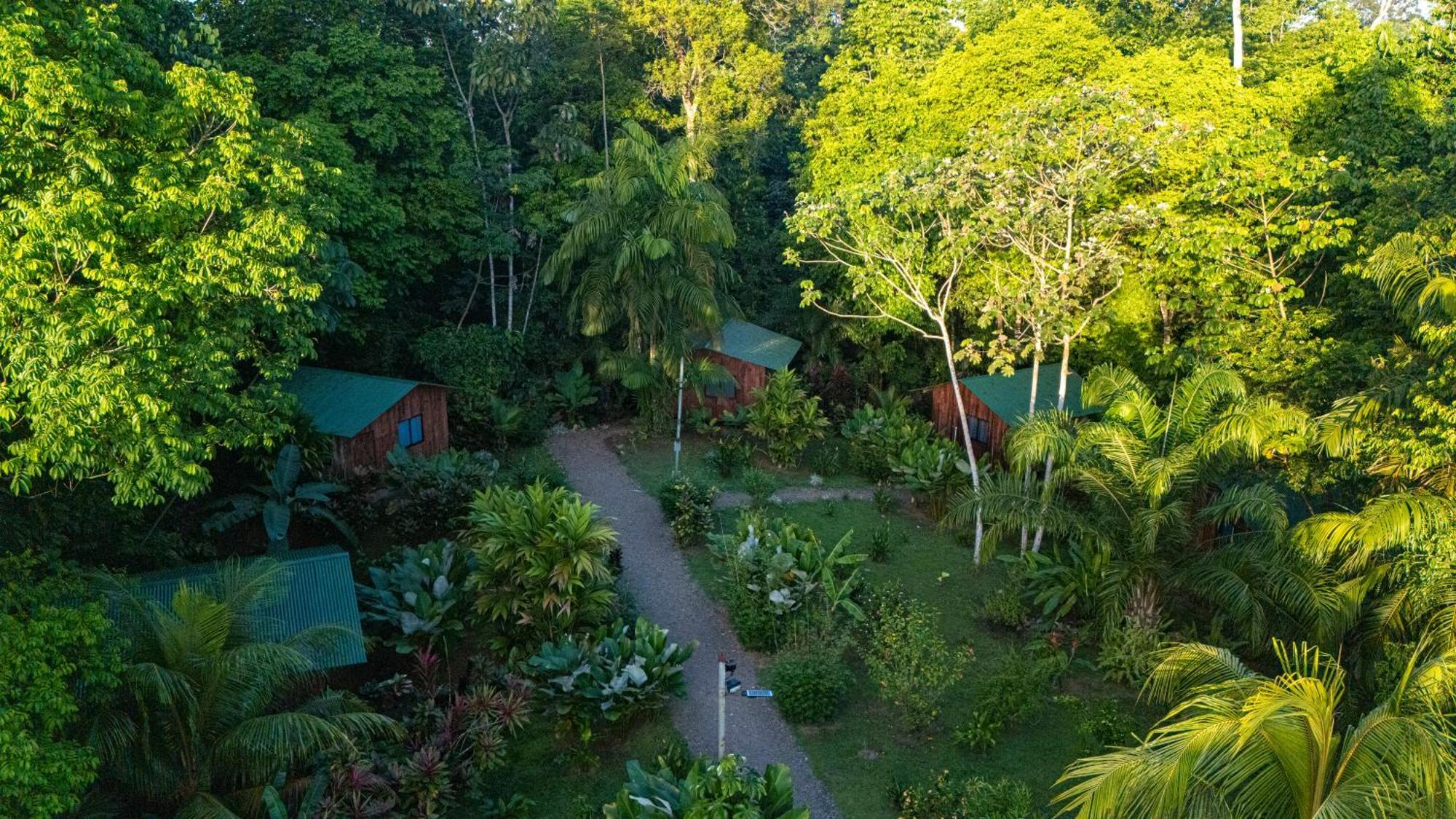 Citronela Lodge Corcovado Drakes Bay Exterior foto