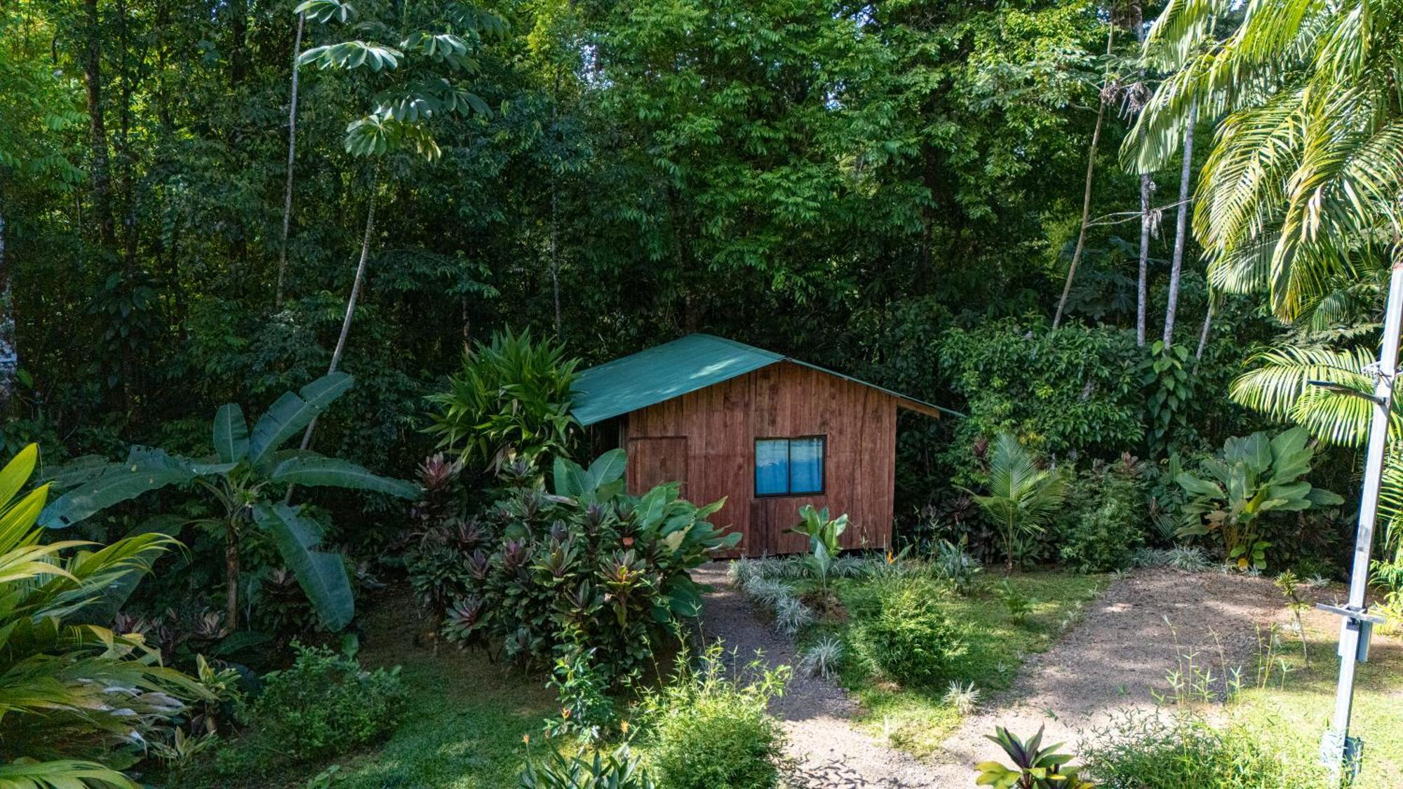 Citronela Lodge Corcovado Drakes Bay Exterior foto