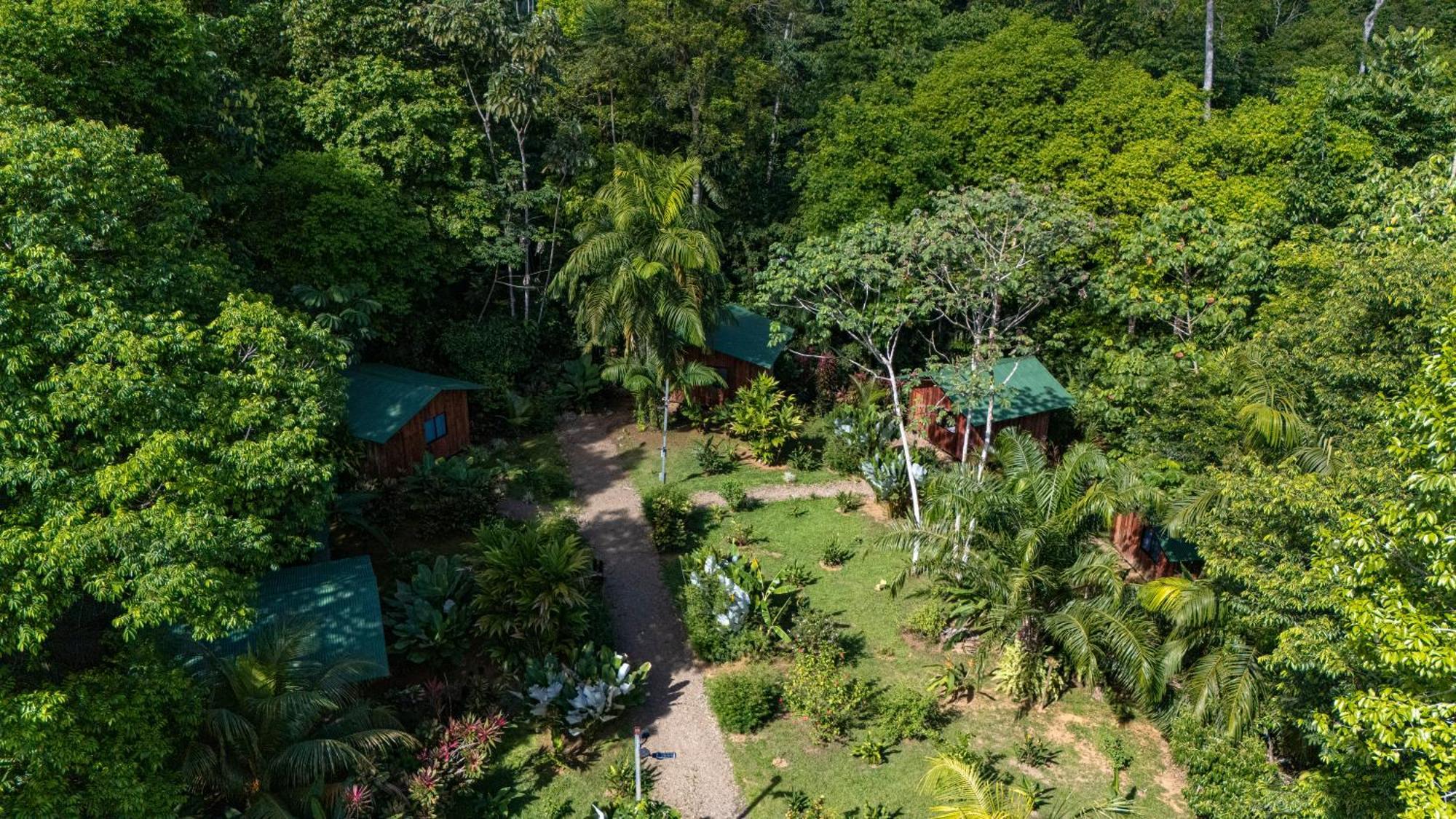 Citronela Lodge Corcovado Drakes Bay Exterior foto