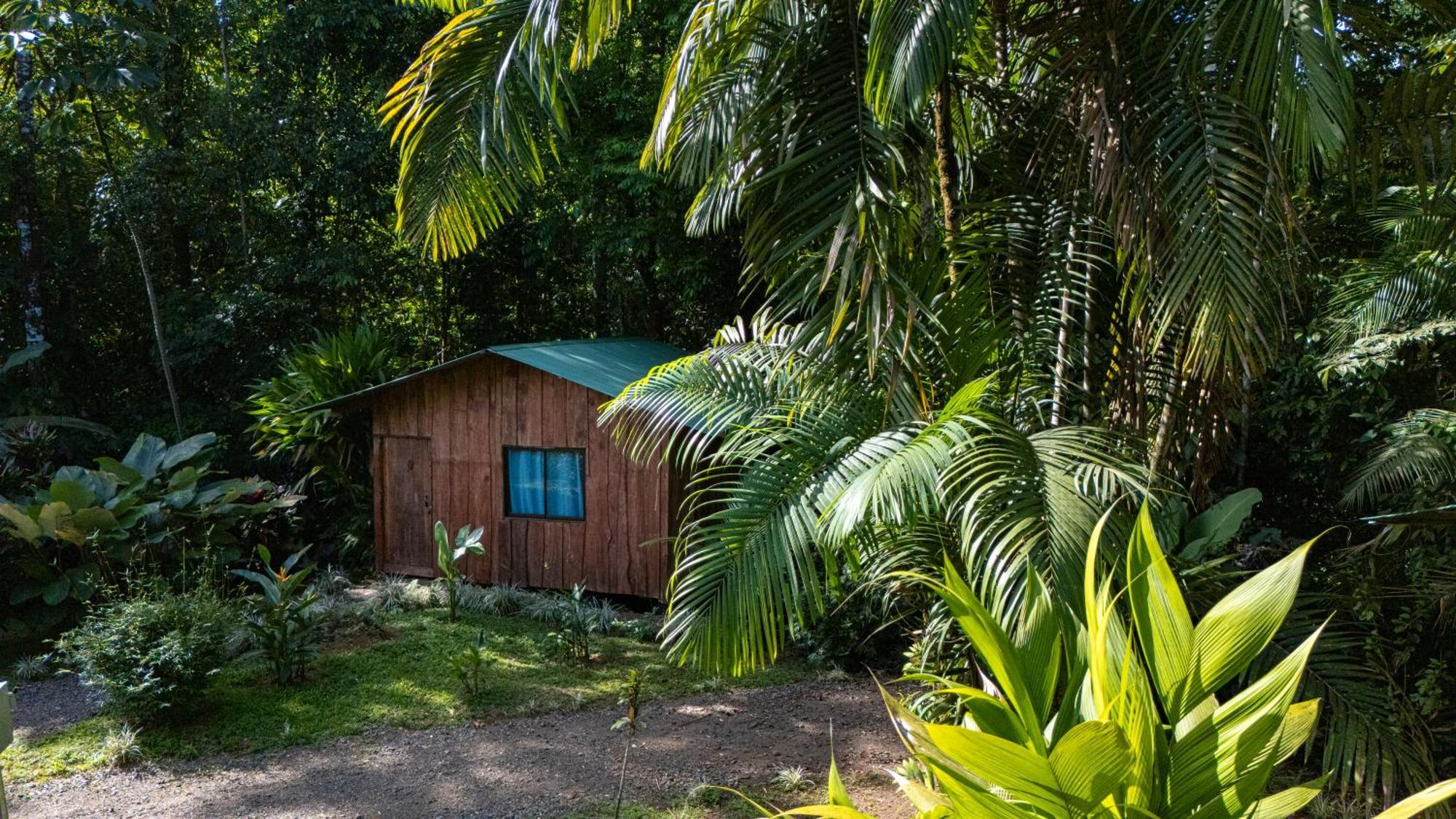 Citronela Lodge Corcovado Drakes Bay Exterior foto