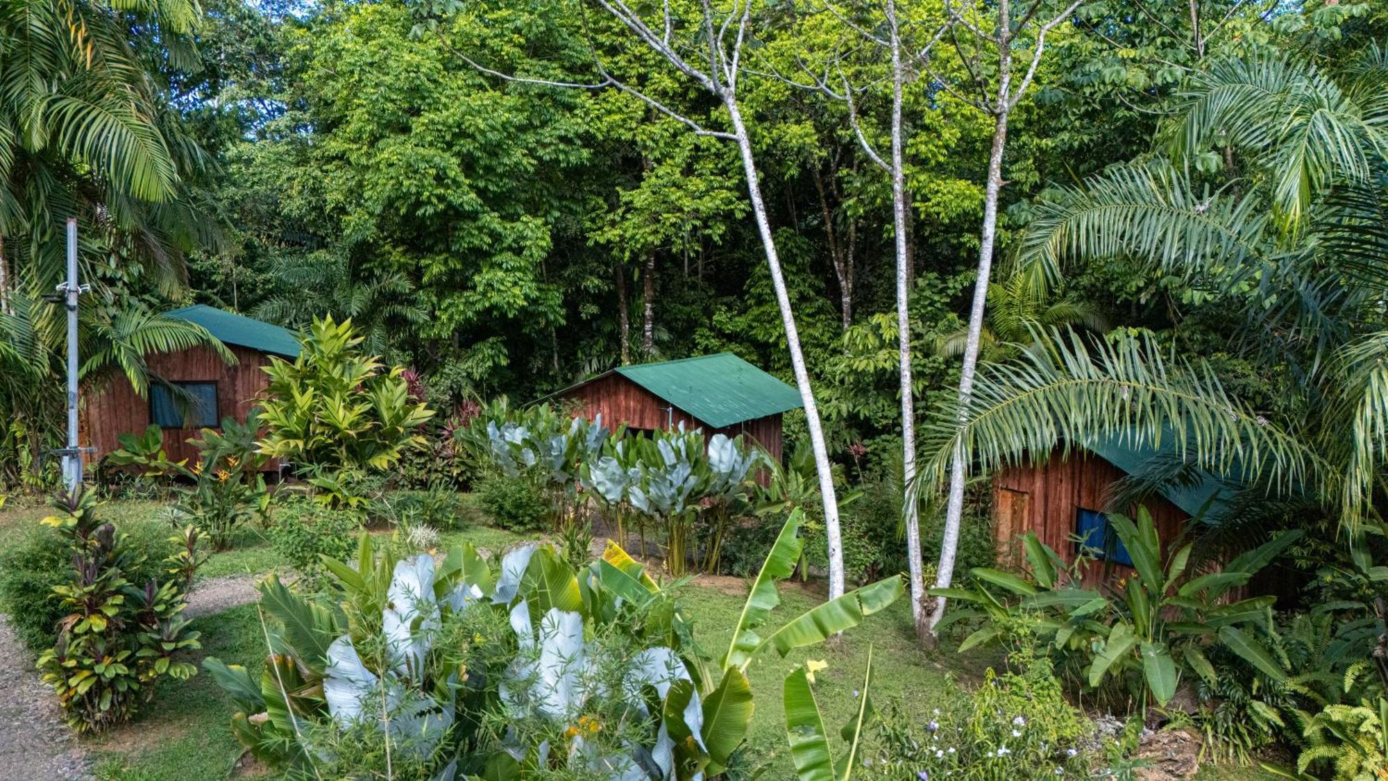 Citronela Lodge Corcovado Drakes Bay Exterior foto