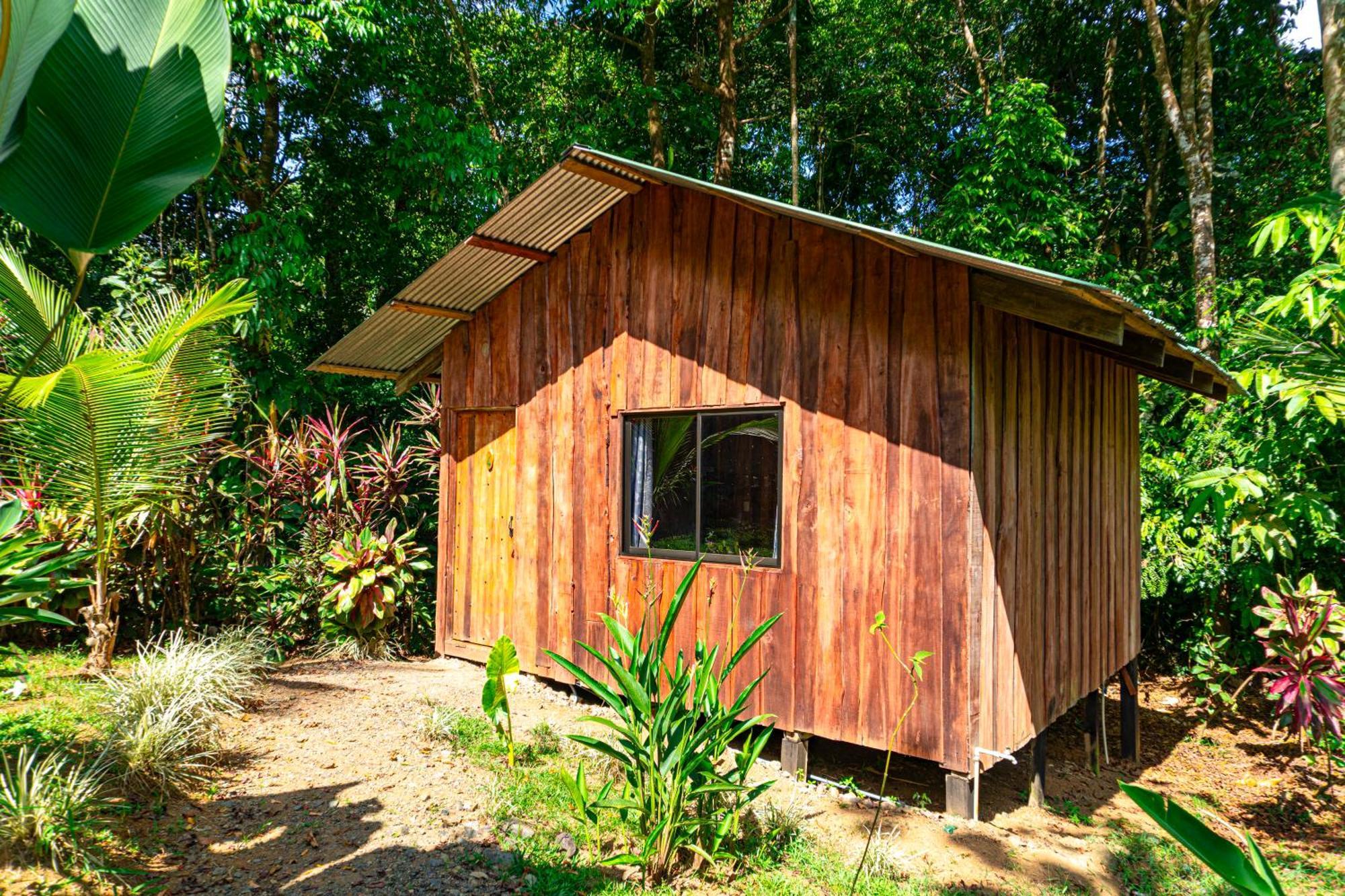 Citronela Lodge Corcovado Drakes Bay Exterior foto