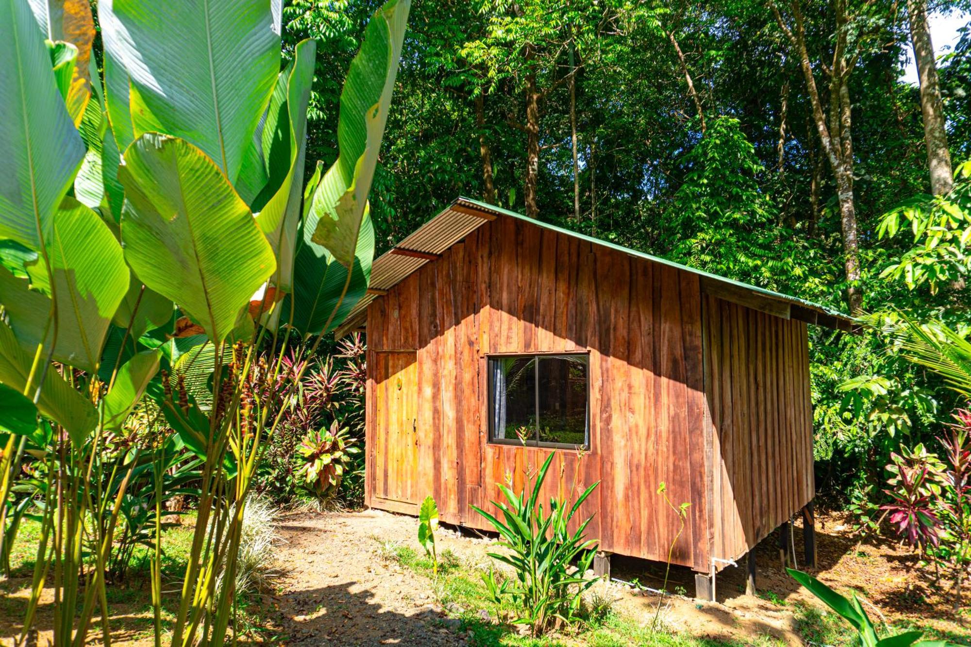 Citronela Lodge Corcovado Drakes Bay Exterior foto