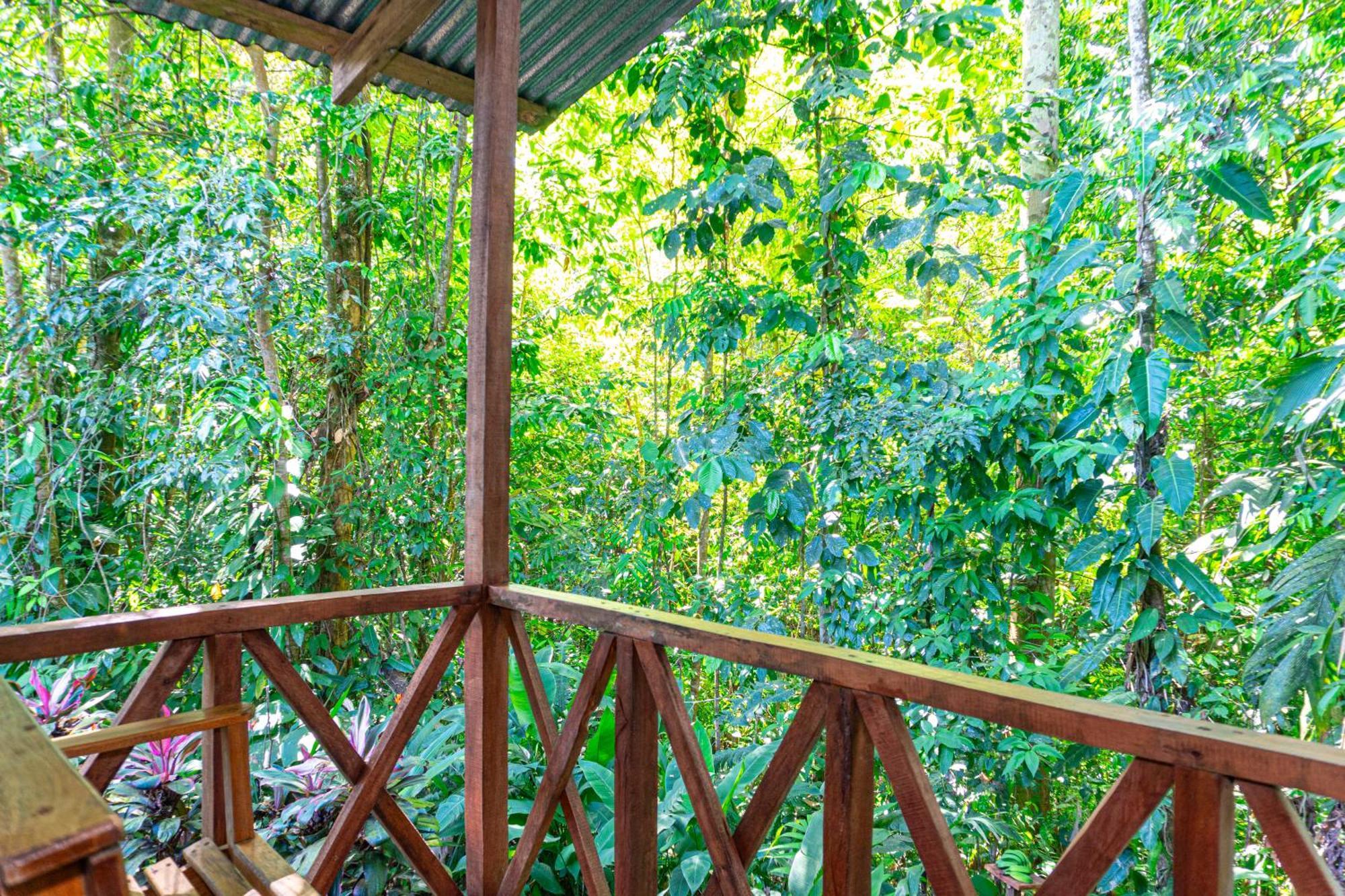 Citronela Lodge Corcovado Drakes Bay Exterior foto