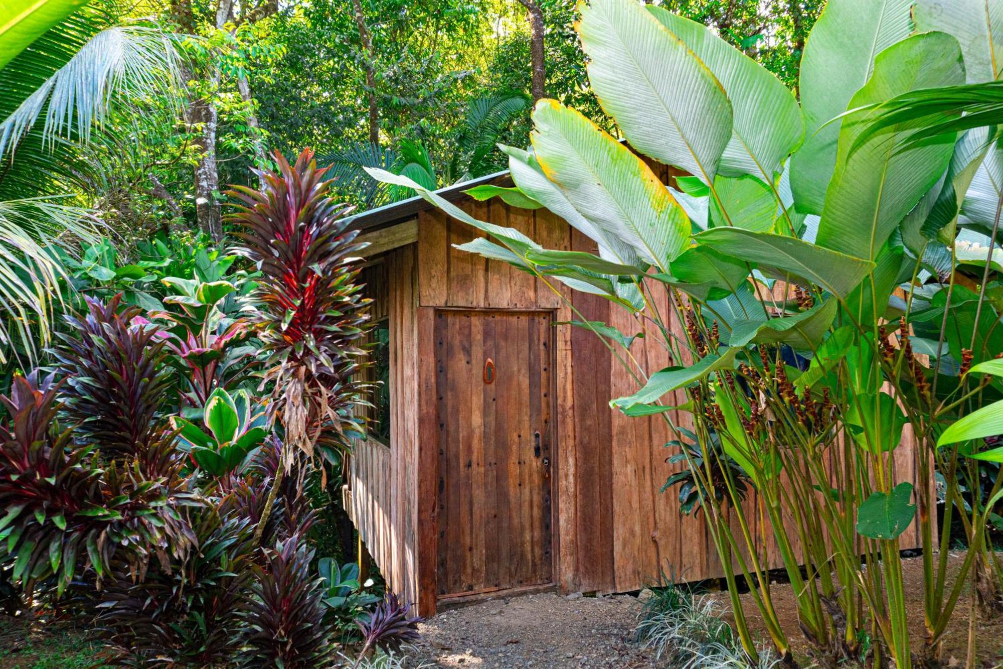 Citronela Lodge Corcovado Drakes Bay Exterior foto
