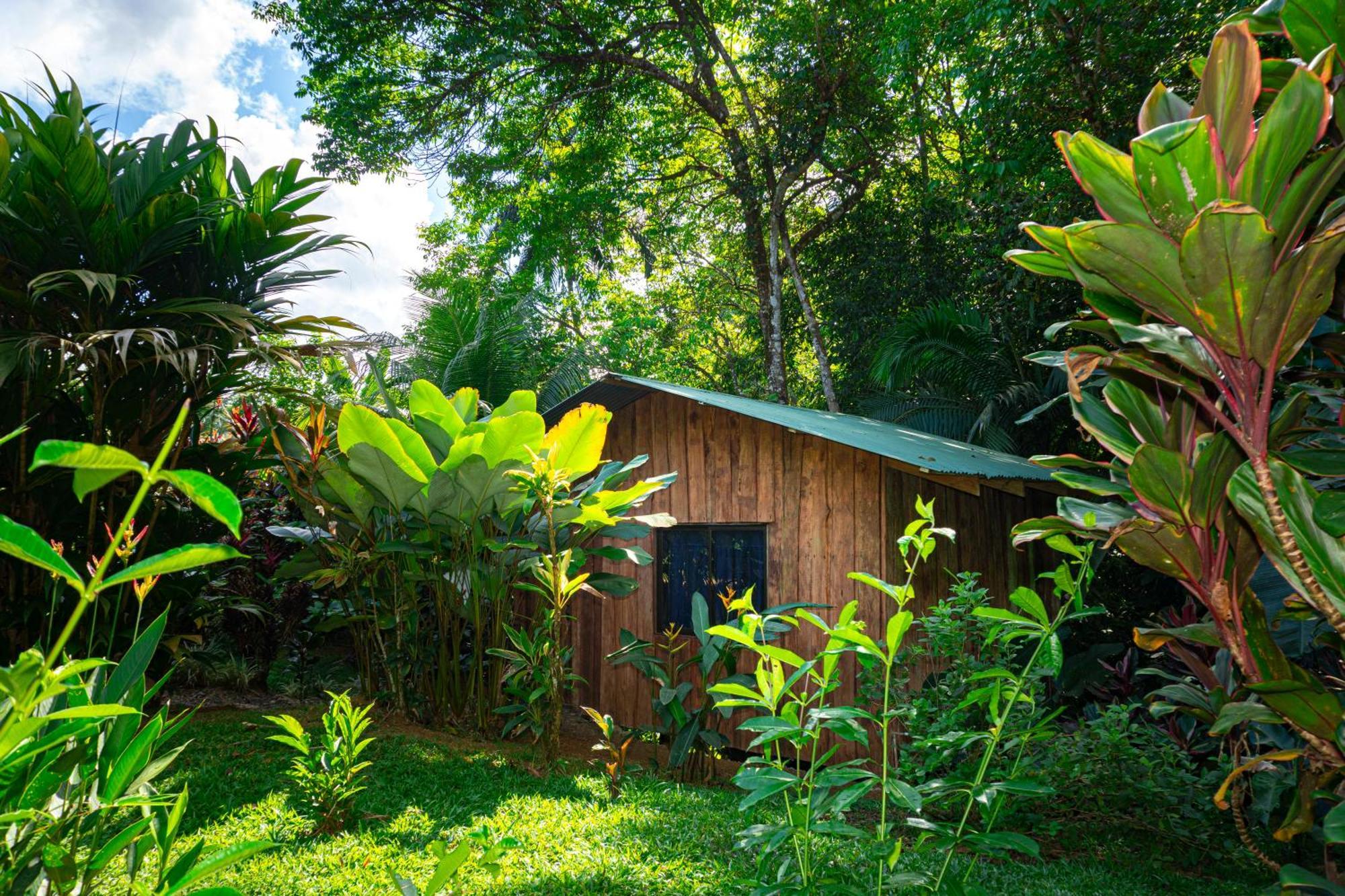 Citronela Lodge Corcovado Drakes Bay Exterior foto