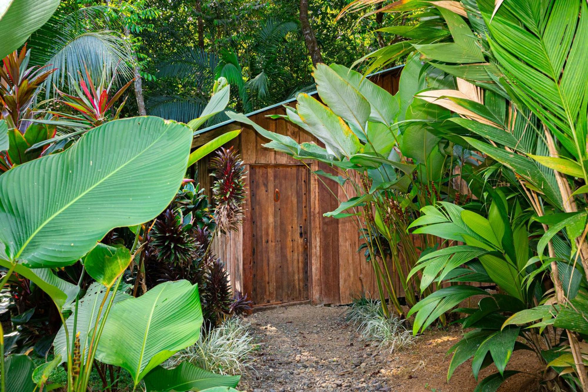 Citronela Lodge Corcovado Drakes Bay Exterior foto