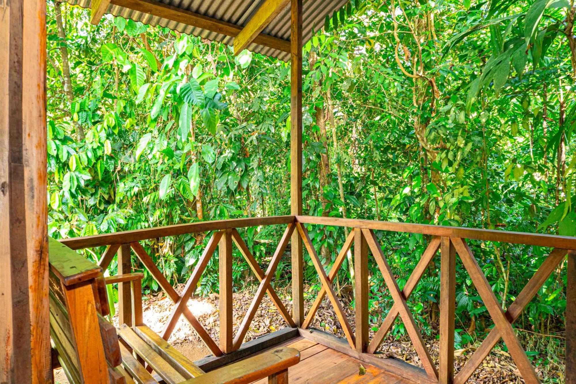 Citronela Lodge Corcovado Drakes Bay Exterior foto